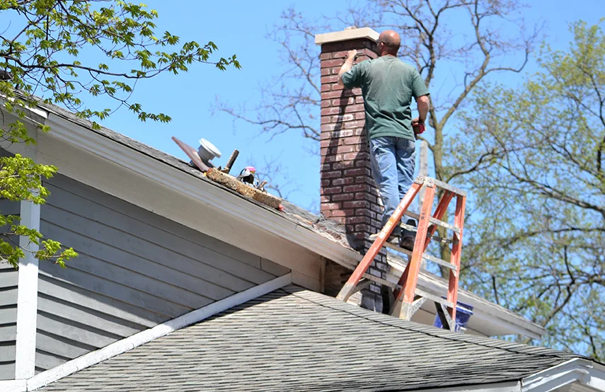Chimney & Fireplace Inspections Services in Ypsilanti, MI